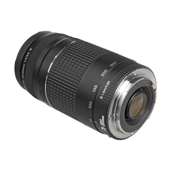 Ultimaxx Bundle with Canon EF 75-300mm f/4-5.6 III Lens, Filter Kit, Telephoto and Wide Angle Lens, Tulip Hood Lens + Much More (Black) [International Version] - Image 6