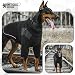 OneTigris Hundepullover, Hundemantel Fleece mit Beinschlaufe und Geschirrloch, Praktisch für die Ausscheidung, Rollkragen Strick Pullover, Recyceltes Polyester, Stretch Hundejacke, S, 8.5-12.5kg