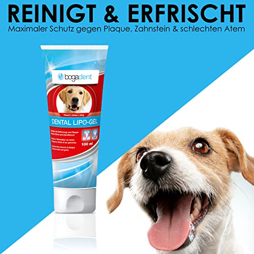 Bogadent Dental-Lipo Gel - Natürliche Hunde Zahnpflege für eine bessere Mundhygiene - Hundezahnpasta gegen Zahnstein & Mundgeruch - Zahngel Hund - 100 ml - UBO0707