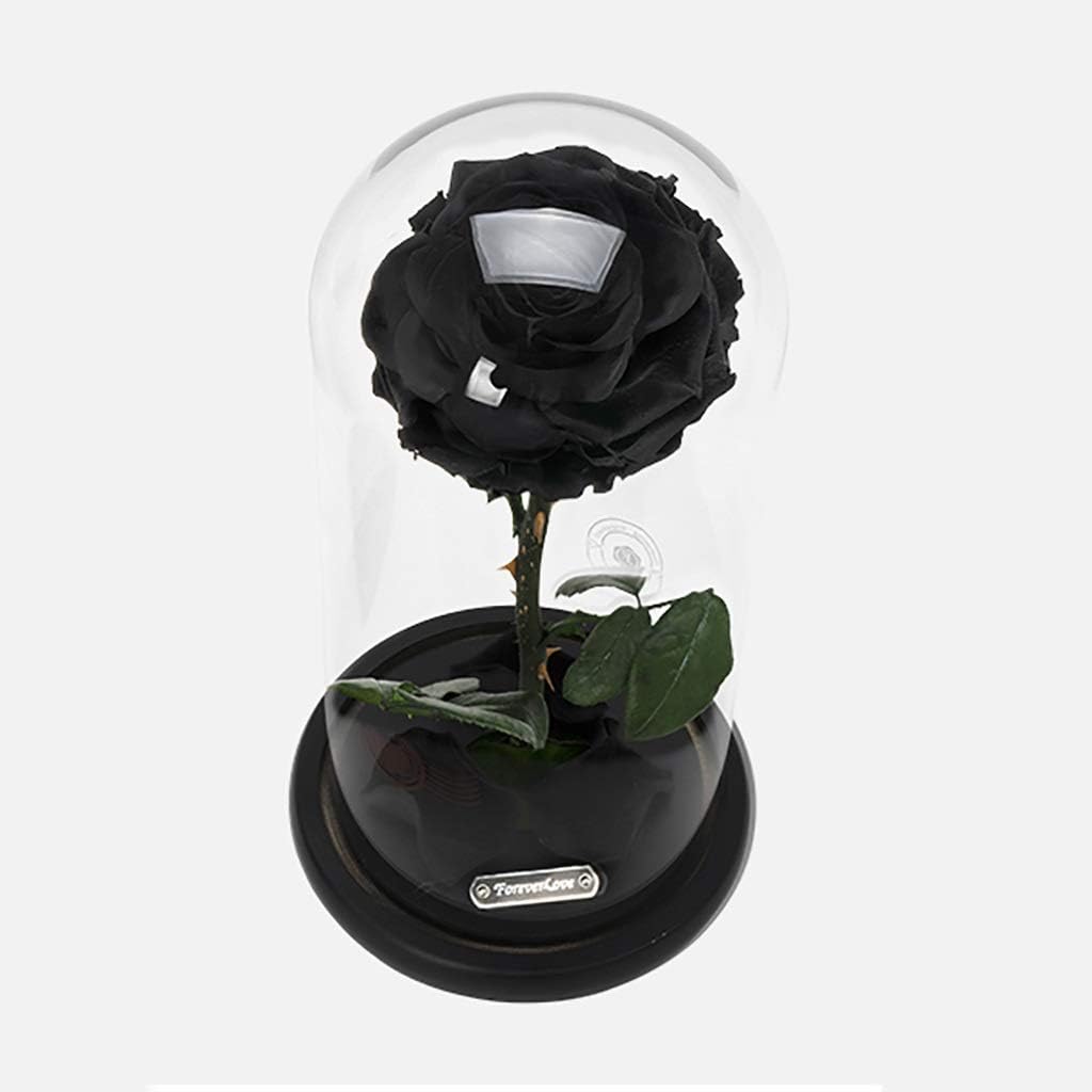 L Preserved Flower Glass Cover Eternal Rose Handmade on Wooden Base Birthday for Girlfriend and Lover (Color: Black)