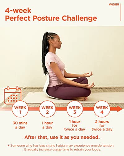 [Curble Chiar Teenager] Ergonomic Lower Back Support, Lumbar Support Back Posture Corrector For Low Back Pain Relief, Perfect For Home Office Desk Chair, And Floor Seat, Patented (Black) #TOP5