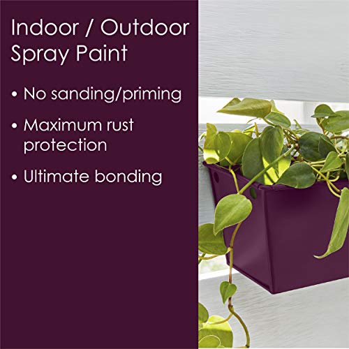 Image of Krylon Fusion All-In-One Adhesive Spray Paint for Indoor /Outdoor Use, 12 oz, Sweet Fig