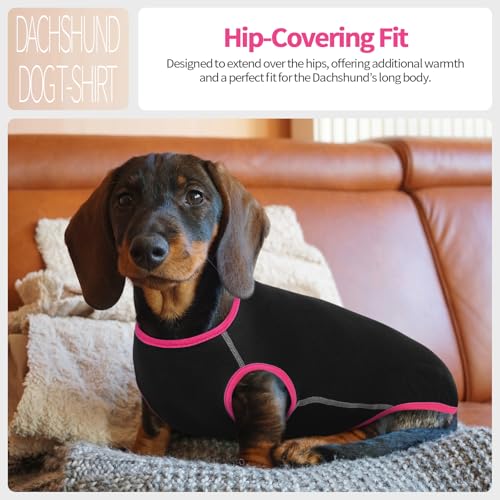 Hjyokuso Dackel Pullover - Fleece Hundepullover, Kleidung Für Kleine Hunde, Dachshund Sweater