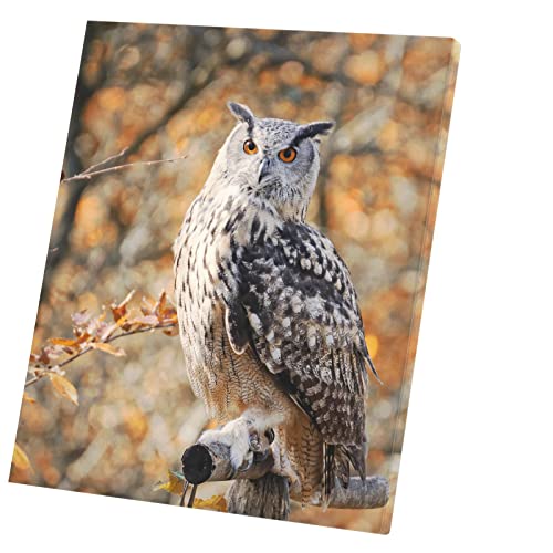 Toile Imprimée Hibou Décoration Salon Ambiance Nature Automnale 60x71 cm