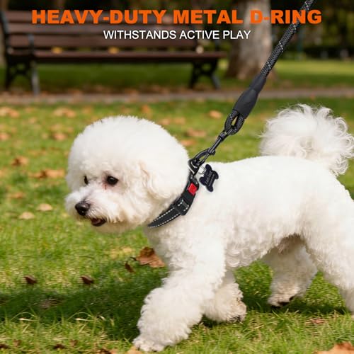Image of Taglory Reflective Small Dog Collar, Comfortable for Safe Night Walks,Black