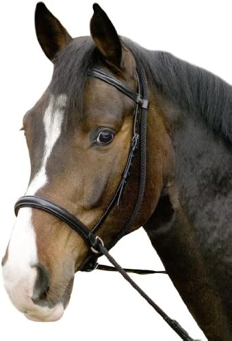 USG Bitless Bridle Connection with Noseband/Web Reins, Cob, Black Leather/Black Lined
