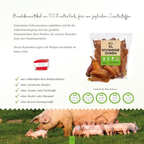 Alto - 10 XL ganze Schweine-Ohren für Hunde | getrocknete Schweineohren ohne fettige Muschel | auch für Welpen - 100% Natürlich | hergestellt in Österreich