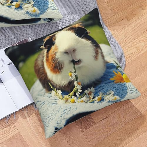 Coussin cochon d'inde lavable pour chambre d'enfant propre - 8