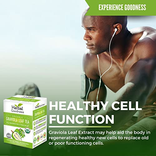 Graviola Leaf Soursop Tea - Organic Dried Leaves - Non-Gmo Kosher -Cell Support & Regeneration, Calm Relaxation - Caffeine Free -24/1G/Box - Herbal Goodness #TOP1