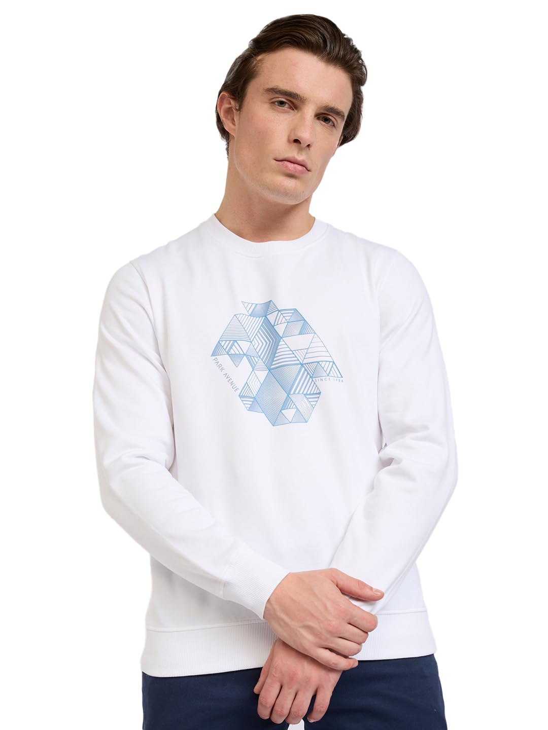 park avenue Men Full Sleeve Slim Fit Print Pattern Cotton Polyester Blend Regular Neck Regular Neck Casual Sweatshirt-picture-36