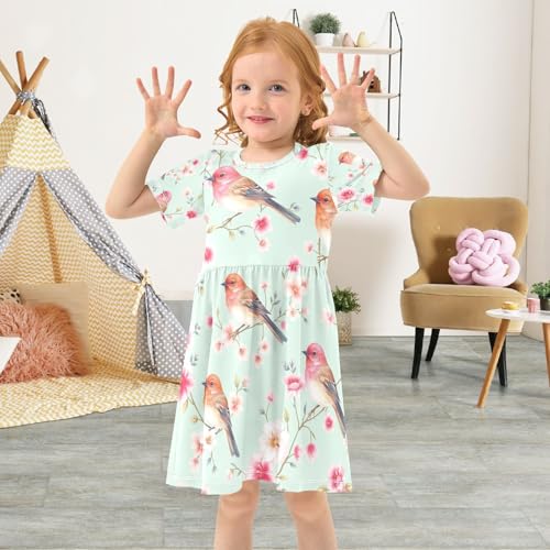Girls Short Sleeve A Line Dress with Birds Watercolor Print Toddler Summer Clothes, 2T4