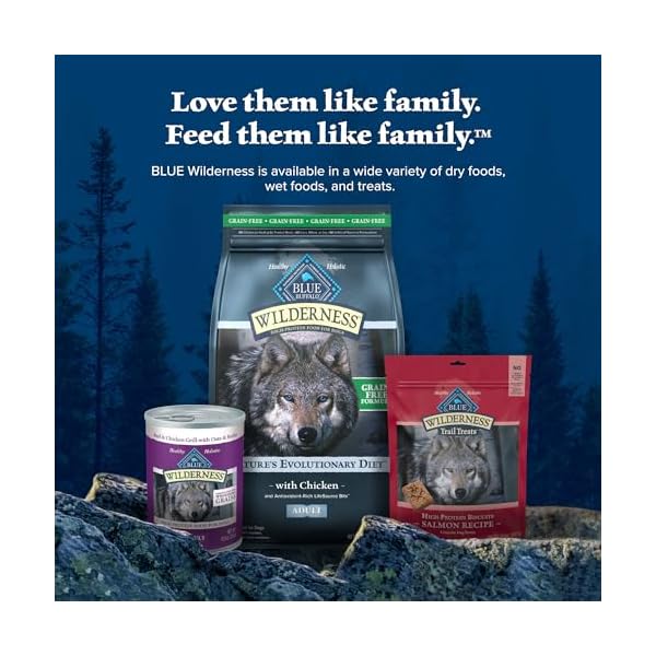 Blue Buffalo Wilderness Adult Hochprotein-Trockenfutter für Hunde mit echtem Huhn, getreidefrei, natürlichen Inhaltsstoffen, Huhn, 10,9 kg Beutel – Bild 10