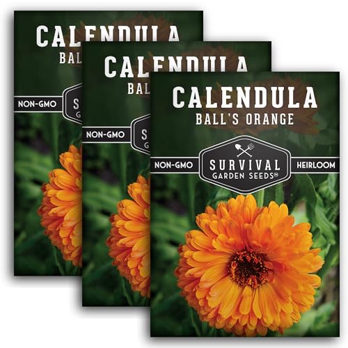 Ball’s Orange Calendula Seeds for Planting – Medicinal Herb & Edible Flower with Bright Orange Blooms – Heirloom Pot Marigold for Skin Care & Teas – Survival Garden Seeds (3 Packs)