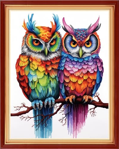 Image of Foxhool Stamped Cross Stitch Kits,11CT Printed Cross Stitch Pattern Full Embroidery Kits for Beginner Needlepoint Kits-Two Colorful Owls 16x20 inch