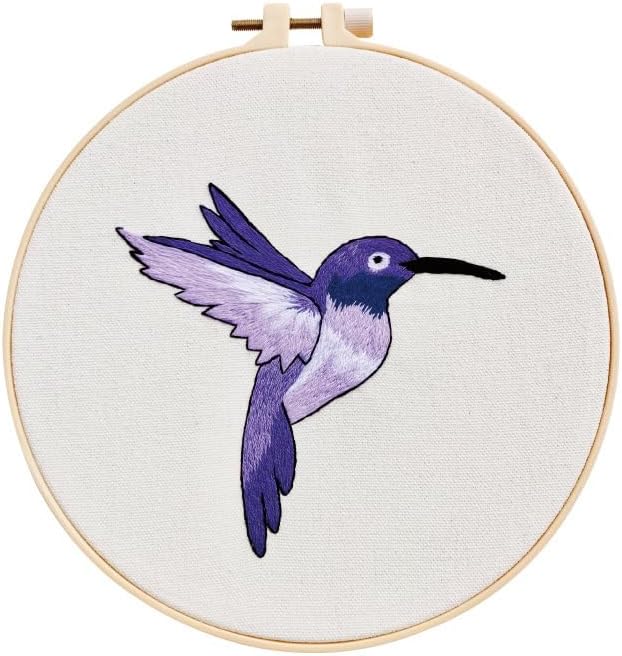 Kit de iniciación de bordado estampado para principiantes, colibrí con patrón para principiantes, aros de tela, hilos de costura, arte de punto de