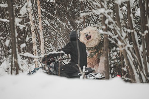 Maneater - Tod aus der Kälte [Blu-ray]