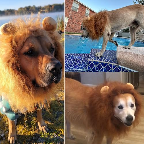 Melena de León para Disfraz de Perro Mediano/Grande miniatura 5