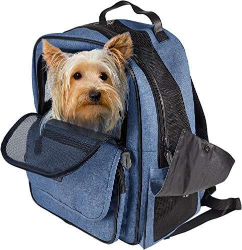 Mochila para Gatos – Perros – Wiro Azul – Mochila en poliéster con Bolsillos, Base Desmontable y armazón Reforzado