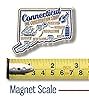 Connecticut Premium State Magnet by Classic Magnets, 2.6" x 2", Collectible 3D Rubber Vintage-Style Souvenirs and Gifts Made in The USA #1