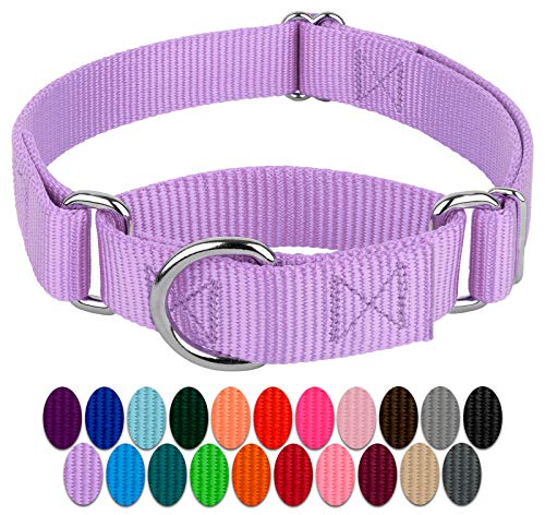 Country-Brook-Design-Lavender-Martingale-Heavyduty-Nylon-Dog-Collar-21-Vibrant-Color-Options-1-Inch-Width-Medium