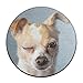 Produktbild LiminiAOS Blink Wink Dog Rundes Sitzkissen rutschfest Maschinenwaschbar Rundes Bürostuhlkissen Pad Hocker Schonbezug Matte Teppich
