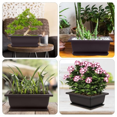 Cezoyx Set van 8 bonsai-trainingspotten met drainagebakken, 22,5 cm bonsaiplanten, kweekpotten, rechthoekige plantenpotten voor tuin, binnenplaats, kantoor, woonkamer, veranda, balkon, woondecoratie - Afbeelding 6