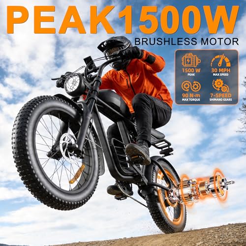 1500W Fat Tire All-Terrain Ebike
