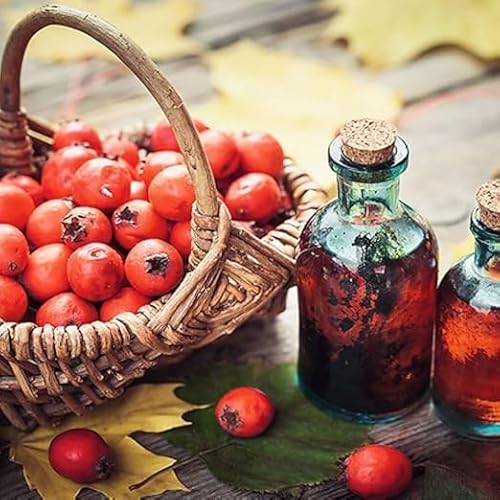 Naturyol Essig (500 ml, Weißdornessig)