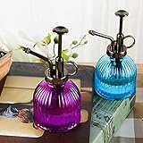 aqxreight Bouteille en Verre R Pl Sp avec Pompe Supérieure en Plastique, Bouteille d'eau ...