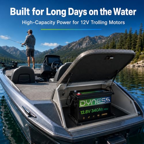 Image of Dyness 12V 340Ah Mini LiFePO4 Lithium Battery, Max.4352Wh, Built-in 200A BMS with Low-Temp Protection,10 Year Lifespan,Supports 4P4S Connection Up to 69.63kWh Perfect for Rv,Home Solar System,Off-Grid