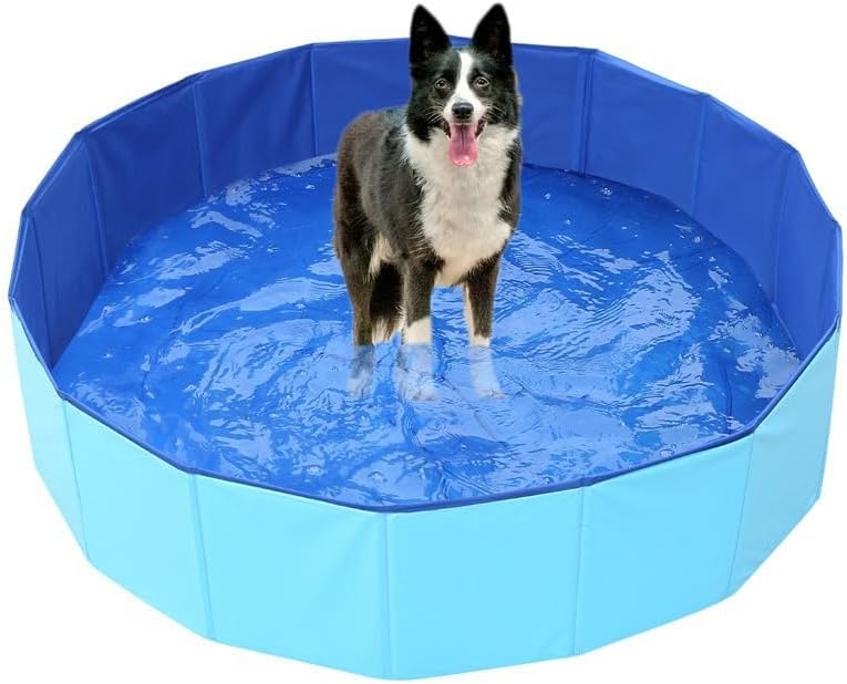 Portable Dog Pool PVC Pet Swimming Bathtub Collapsible Hard Plastic Pool for Pets to Swim and Bath (S-20"x 4" Blue)