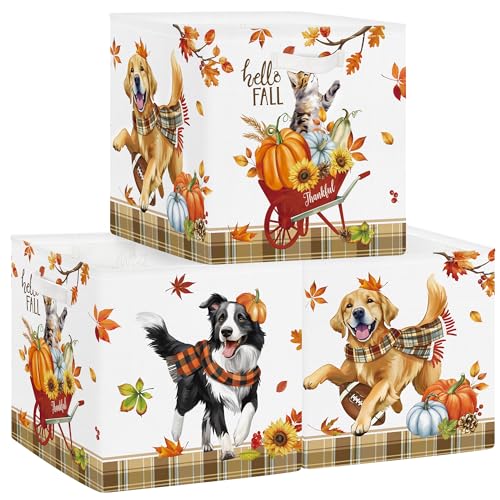 Clastyle Set di 3 Scatole Portaoggetti Autunno Ringraziamento Cubo di Stoccaggio per Armadio Vestiti Cesto Scaffali Bambini Scrigno dei Giocattoli e Libri per Scuola Materna,Animale,30x30x30 cm