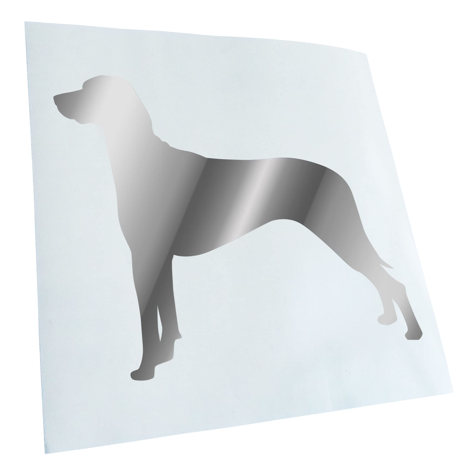 Kiwistar - Car Sticker - Chrome - 30 x 25 cm Ridgeback Rhodesian Dog - Rear Window Car Sticker Weatherproof for Car Truck Moped Truck - Sticker Exterior Self-Adhesive Tuning Accessories for Window