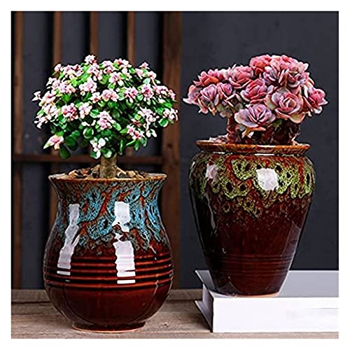Pot de fleurs de style chinois pour végétaliser un petit espace de bureau