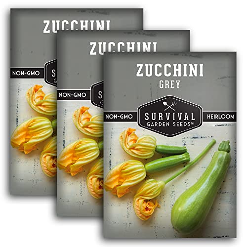 Survival Garden Seeds - Grey Zucchini Seed for Planting - 3 Packs with Instructions to Plant and Grow Mexican Summer Squash in Your Home Vegetable Garden - Non-GMO Heirloom Variety