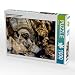 Produktbild CALVENDO Puzzle Historische Karnevalsmasken 1000 Teile Lege-Größe 64 x 48 cm Foto-Puzzle Bild von Olaf Bruhn