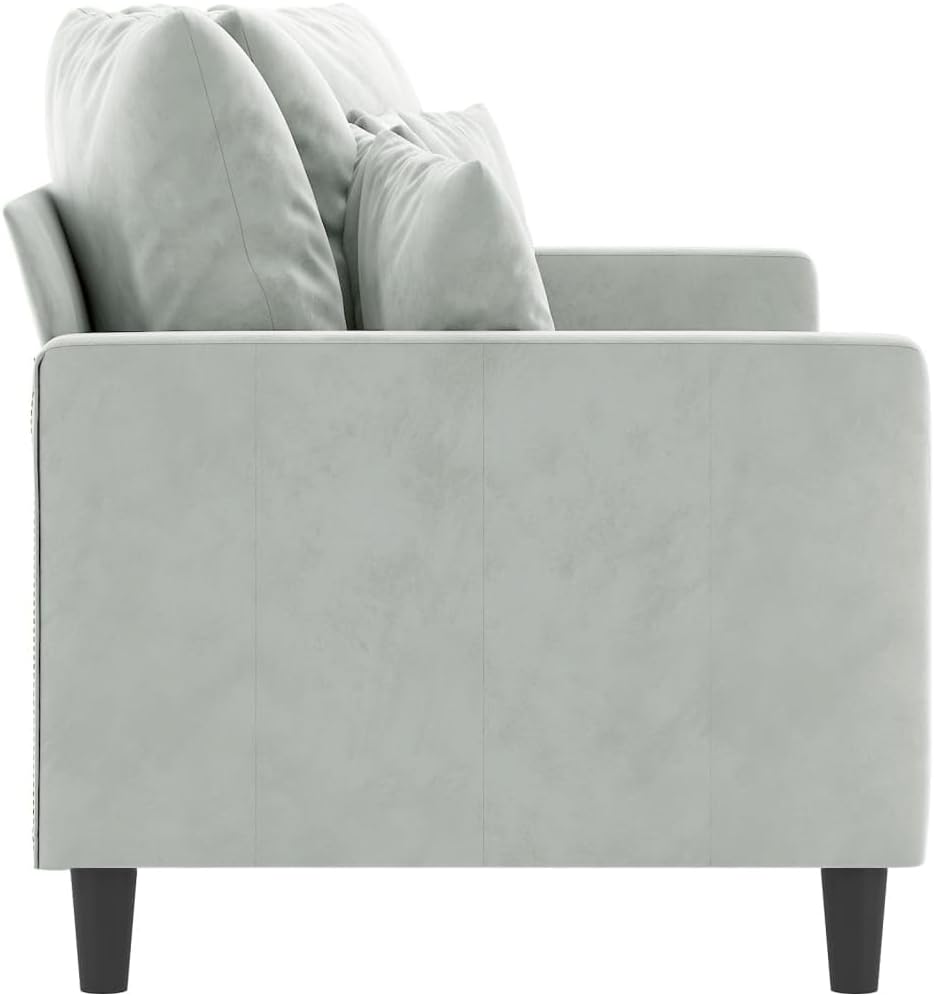 2-Seater Sofa Light Grey Velvet (100% Polyester) Living Room Furniture