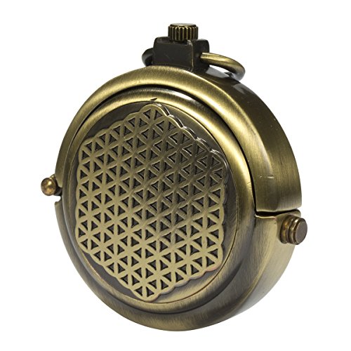 ManChDa Men's Vintage Archaize Bronze Hide Carved Steampunk Chain Mechanical Pocket Watch with Box