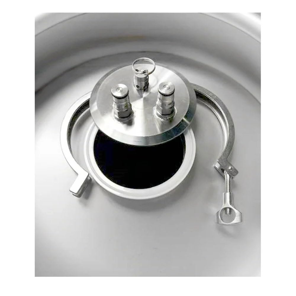 Fusto for Vino, Argento 30/58L 1/2 BBL, Serbatoio for Birra Artigianale in Acciaio Inossidabile 304(30L Just Keg Only)