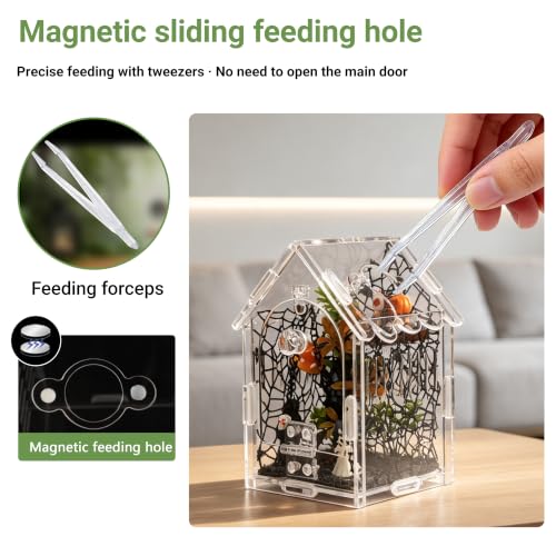 Image of 18pcs Jumping Spider Enclosure Kit with Gothic Decor | Scratch-resistant acrylic, 1mm vent, magnetic lock for spider, mantis, tarantula habitat