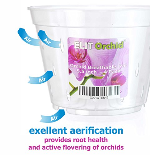 Orchideeënpotten met gaten Cymbidium Phalaenopsis Orchidee Pot Indoor Clear Plastic Vanda Plantenpotten Set (5,5 inch… - Afbeelding 3