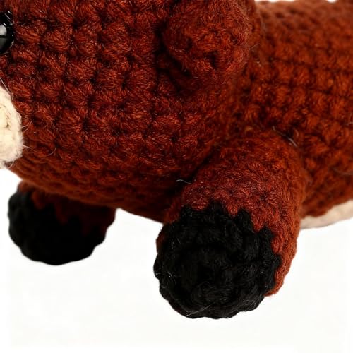 Kit de crochet de vache avec tutoriel vidéo pas à pas