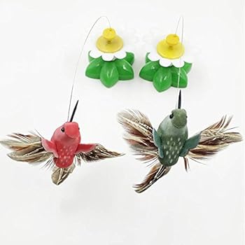 dog with a santa hat