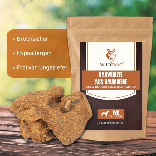 Wildfang® Kauwurzel aus Baumheide für Hunde, Größe M - Natürliches Kauspielzeug Hund, splitterfreies Hundespielzeug zur Zahnpflege Hund & Welpenspielzeug (für Hunde 15–25 kg), 1 Stück