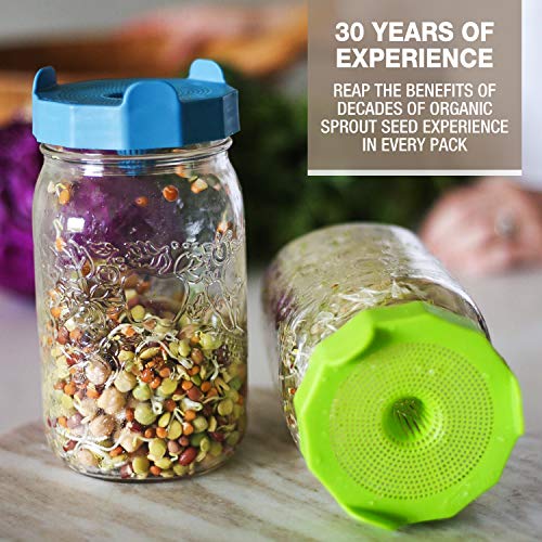 Mumm's Sprouting Seeds - Spring Salad Mix - 250 GR - Organic Sprout Seed Kit - Broccoli, Radish, Alfalfa and Red Clover