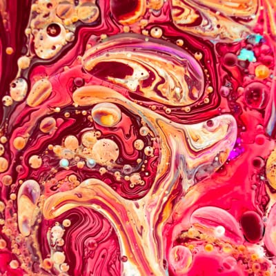 Comeback and Future Plans | Metamorphosis Ep.0