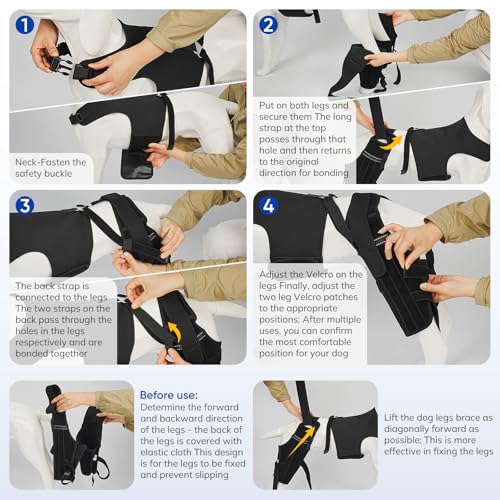 Image of Dog Knee Braces for Torn ACL Hind Leg, Adjustable Joint Brace Non-Slip | Double Leg Support with Vest,CCL Tear, Arthritis, Patella Luxating Recovery Cruciate Care for Small Medium Large Dog, L