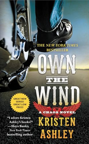 Own The Wind view 2
