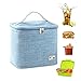 Torby chłodzące na lunch, torba piknikowa 10 l, izolowana torba chłodząca, torba termiczna, przenośna torba chłodząca na lunch, piknik, kemping, grill, zakupy, rodzinne zajęcia na świeżym powietrzu (niebieski)