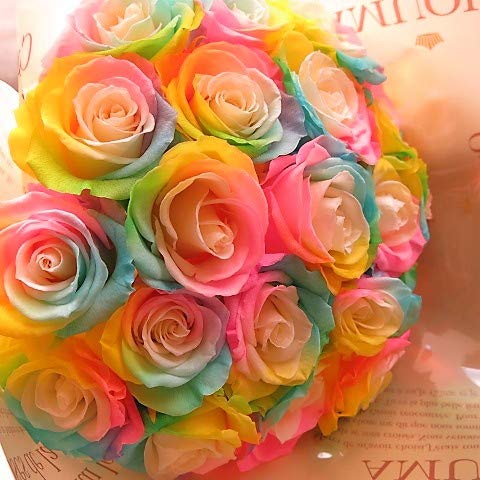 【高級プリザーブドフラワー】 レインボーローズの花束 ３０本セット Amazon｜レインボーローズ 花束 プリザーブドフラワー バラ 30本 花束